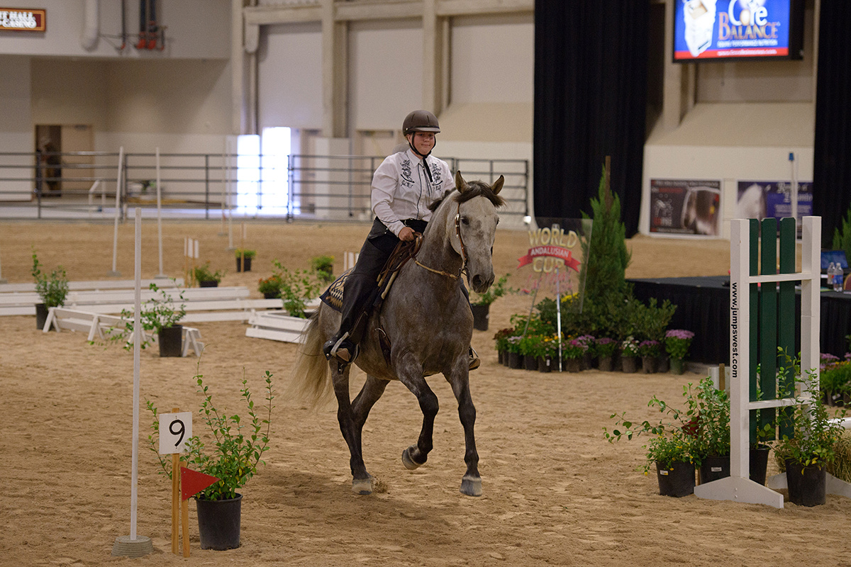 Oregon horse competing at a 2014 WE show in Las Vegas: Speed Trial