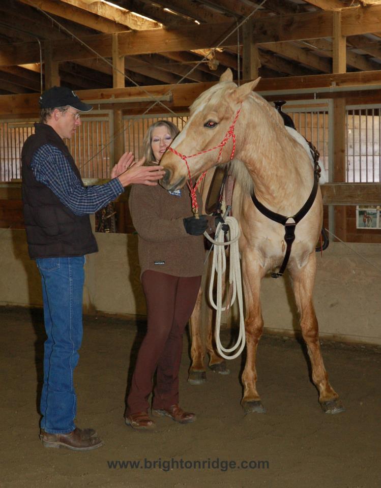 Rocky Mountain Horse. Learning to reduce resistance when teaching to bend at the Riding Place Equestrian Center in Port Orchard.