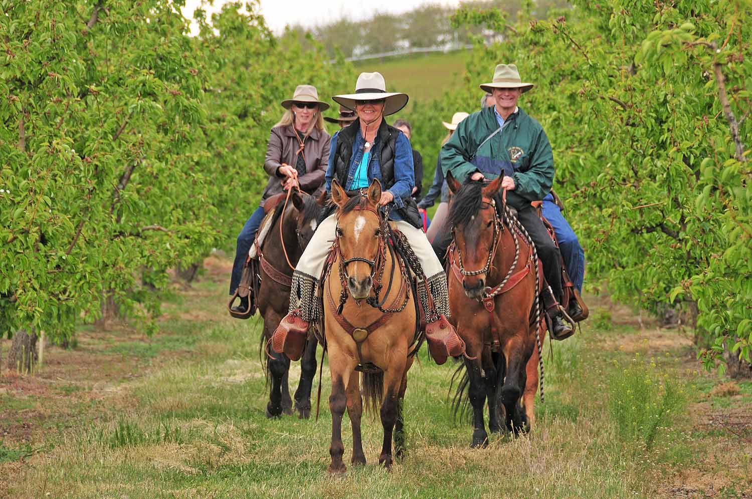 Hoof it through the wine country with Trail Boss Tiffany Fewel as your guide. Ride through the sun-soaked vineyards surrounding Cherry Wood, stop for tastings at two selected wineries and enjoy a gourmet picnic-style lunch at Cultura Winery