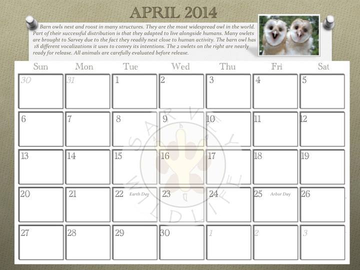 Our calendar spotlights a different education animal each month. Sample from inside. Lots of room to actually use this to note appointments, birthdays, and other important dates. Plus, stories and information about each species. Proceeds from the calendar help us help more animals.