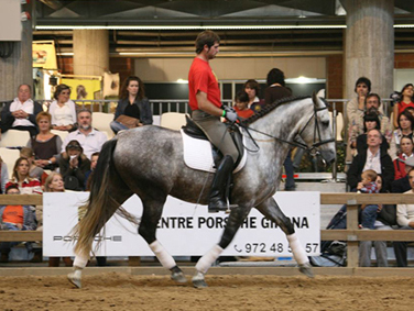 Before- Here a dressage rider in Girona, Spain is asking his horse to come through in his habitual way while bracing his body. He commented, “this horse is lazy.”