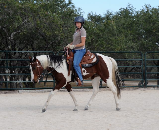 Connected Riding is relevant in ALL disciplines, including Western. Here a student in Texas demonstrates the beginning of soft Connection using her newly learned Connected tools.