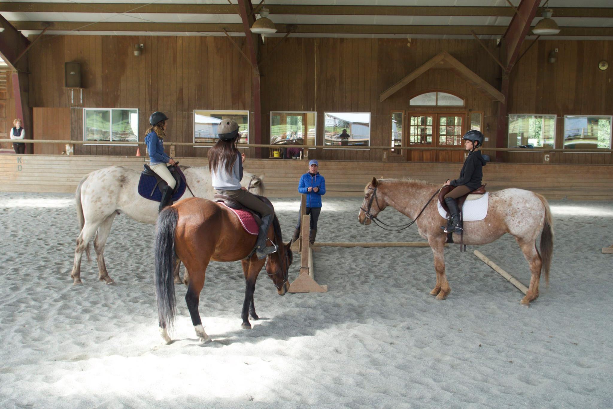 Freedom Farm is a natural horsemanship-based training and boarding facility, offering youth horsemanship programs as well as adult classes and lessons.