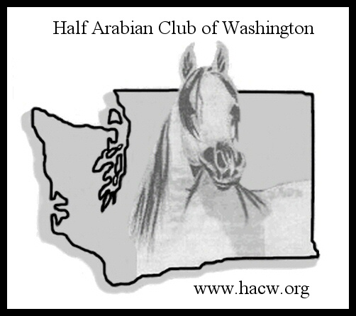 We are working to promote both Purebred and Part Bred  Arabian horse in Washington State.