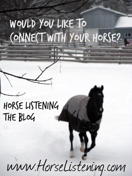 Horses. Riding. Life. Like us for daily thought-provoking, conceptual tips about riding, to listen to horses and life in general: www.horselistening.com