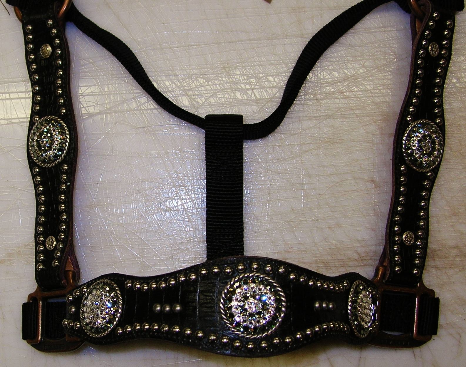 Did you know you can order your own custom scalloped halter with noseband and side pieces? Any color and combo you want, all original, all YOU!