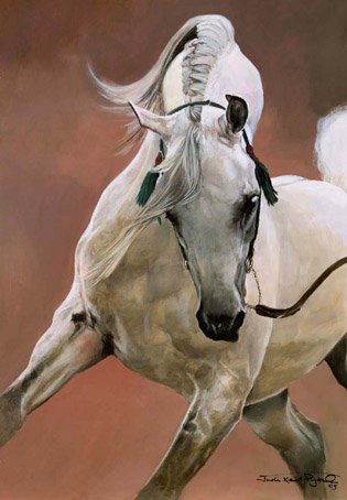 Northwest Washington Arabian Horse Association