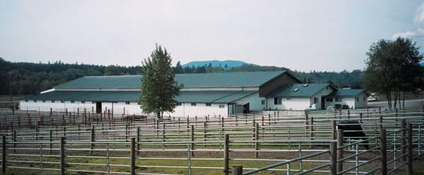 Butlerhill has an underground drainage system in the parking, paddocks and 300′ outdoor arena with all weather footing.  Rounded steel pipe fencing for paddocks, and pastures and entire property for safety and security.  The completely enclosed 200×80 indoor arena has new non-slip horse footing.  Each 12×12 matted stall has its own window for light, fresh air and  automatic waters.  Our large meeting room offers a full kitchen.