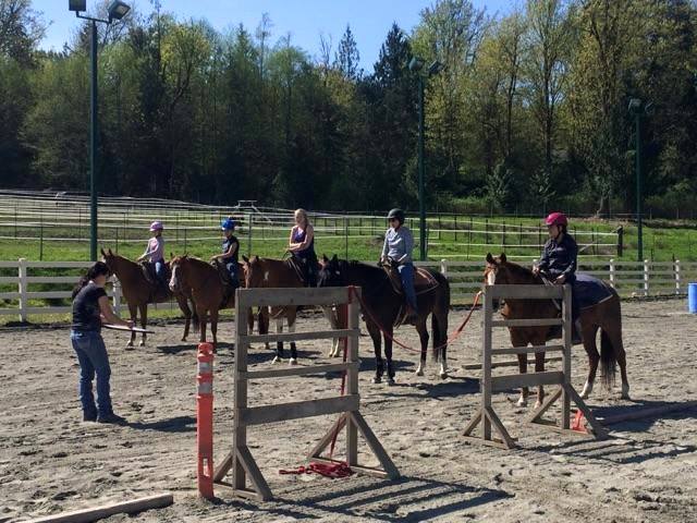 At Lisa Freimark Performance Training we specializing in western pleasure and all around events, lesson program for all ages and levels including huntseat, showmanship and trail.