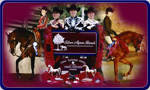 Silver Aspen Ranch specializes in training and showing Arabian and Half-Arabian horses in reining, western pleasure and hunter pleasure.