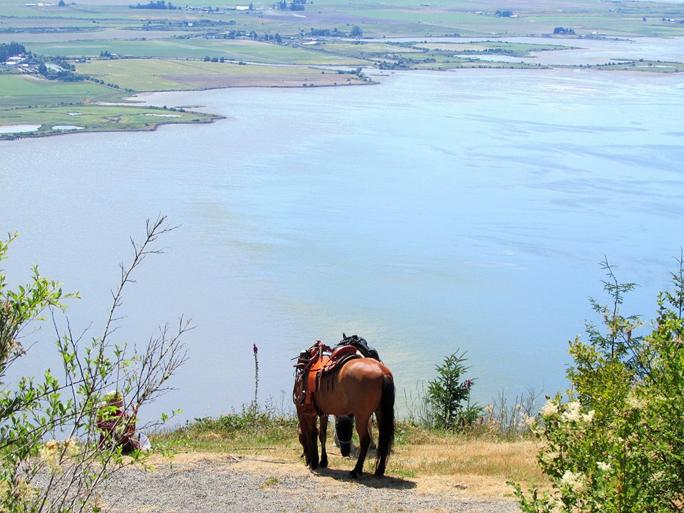 Skagit County offers some rather nice trail views.  Be sure to bring your camera.