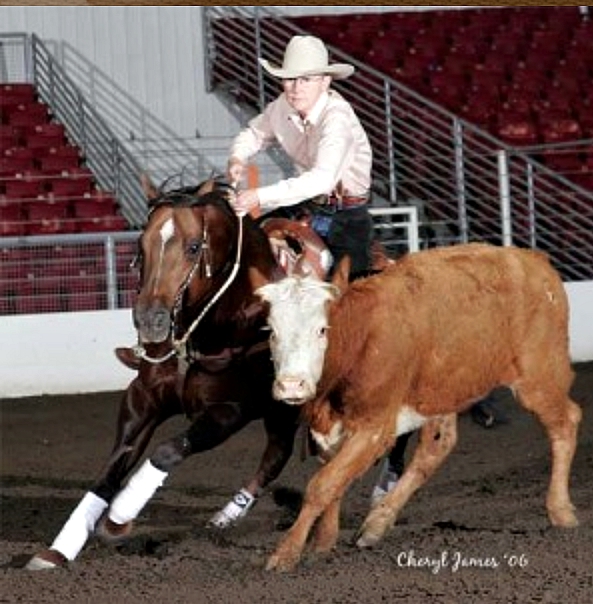 At Double S Quarter Horses Sue and Tom use their combined experience to help each client identify individual goals and outline a program that fits their needs.  Every horse in the program receives the kind of specialized training that will carry it to success throughout their equine careers.