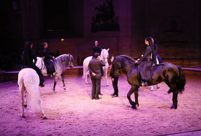 A show that leads to you in an adventure unforgettable equestrian where the horses and their other companions, you will discover the mysteries of the earth corse.