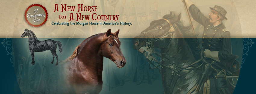 A documentary film celebrating the Morgan Horse in America’s history.