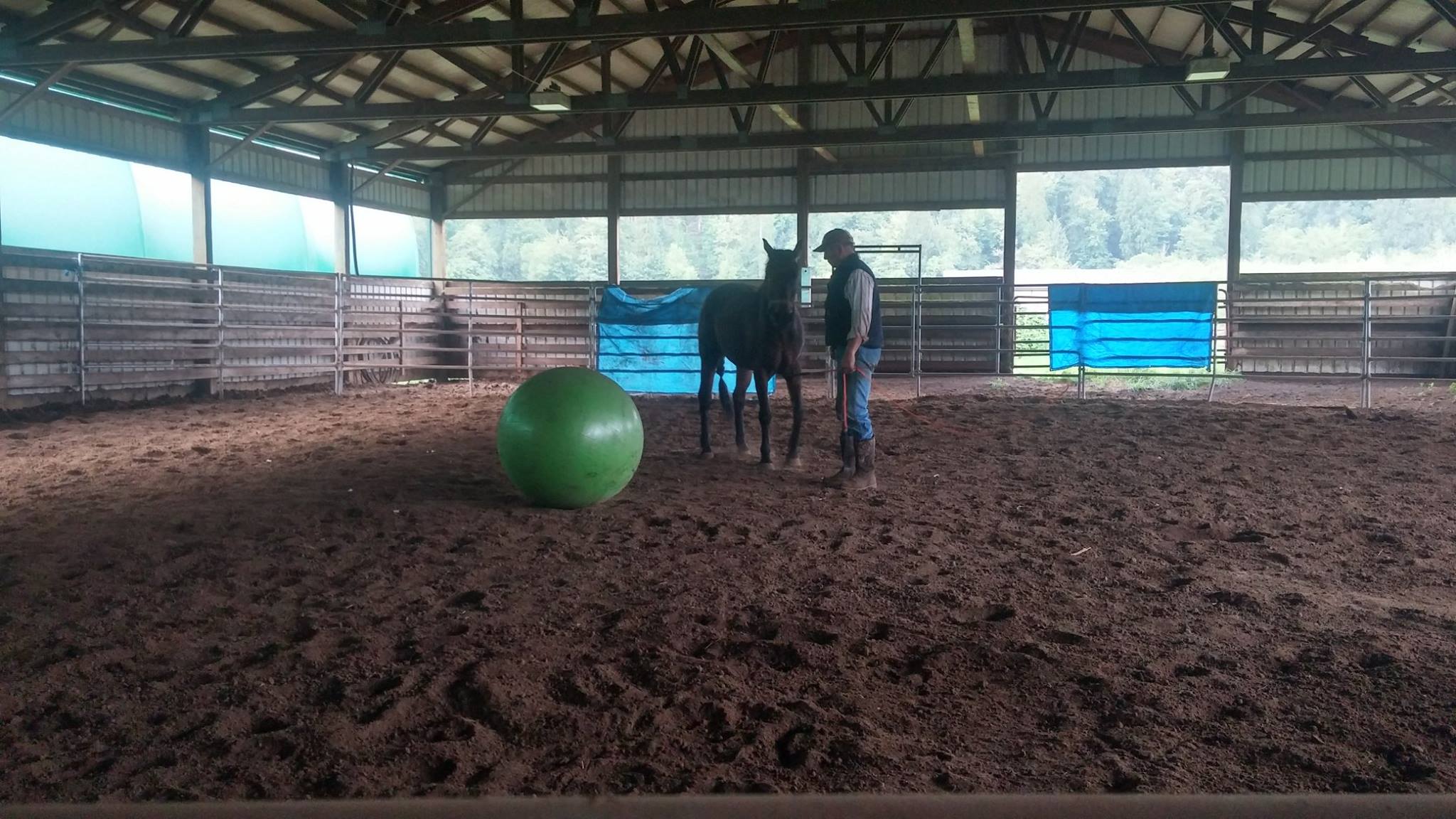 Buster Welch - AQHA