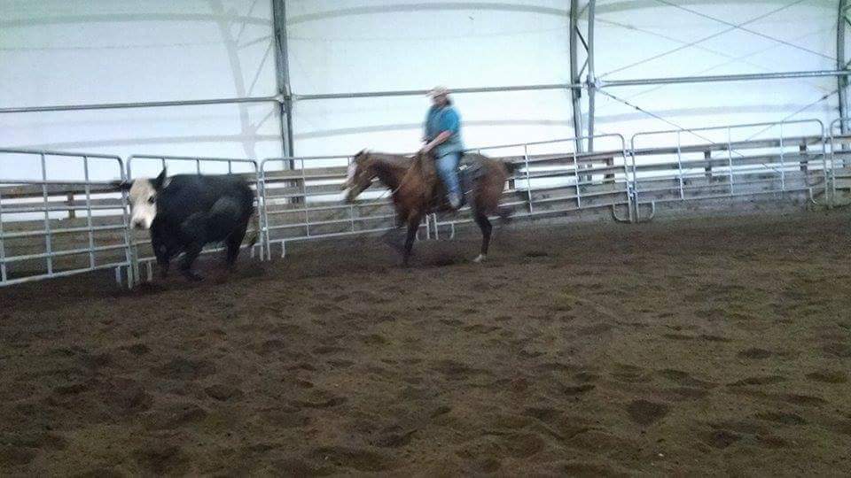 Buster Welch - AQHA