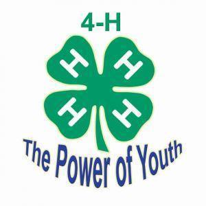 4-H is a community of 7 million young people across the world learning leadership, citizenship and life skills. 4-H members participate in fun, hands-on learning activities with focuses on science, engineering and technology, healthy living, and citizenship.