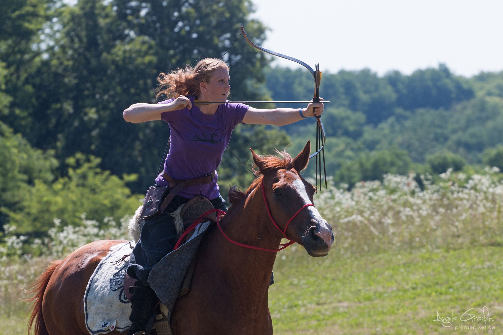 Mounted Archery, Horse Training, Riding Lessons, and Archery Lessons!