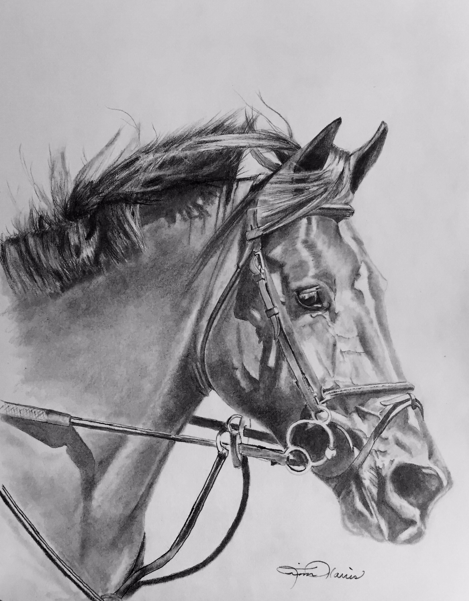 Custom graphite drawings of any discipline will be created for you and ready for framing