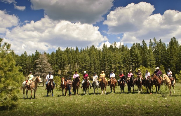 Western Sky Horsemanship is dedicated to developing a willing partnership with our students and horses, through trust, communication and feel. Come see what the fun is all about, build your confidence and skills in a safe environment with quality and talented horses and instructors!