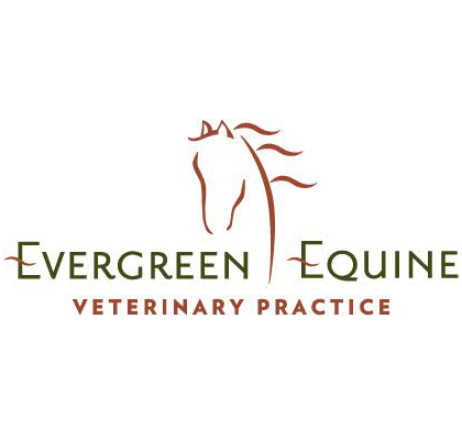 At Evergreen Equine our team of equine veterinarians has developed a reputation for rapid response, compassionate care, advanced equine diagnostics, and a passion for preventative equine medicine.