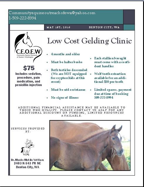 We are passionate about our gelding clinics.  Gelding is one of the best steps you can take in preventing unwanted horses. With the epidemic of unwanted horses at it’s peak, gelding is the sure way to take your part.
