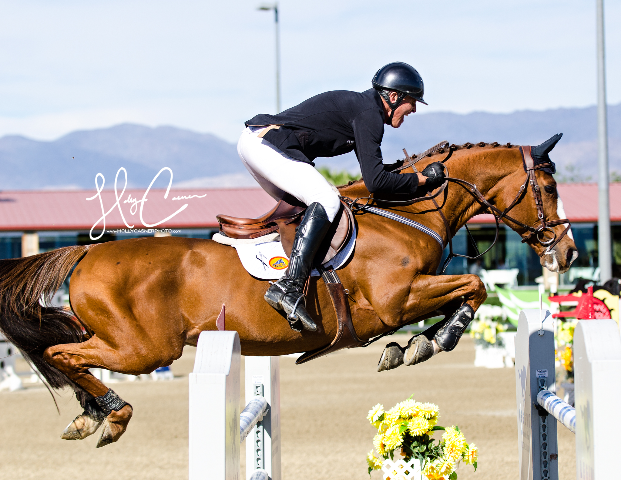 Holly Casner, The Equestrian Photographer – Horse Show Photography – Jumpers
