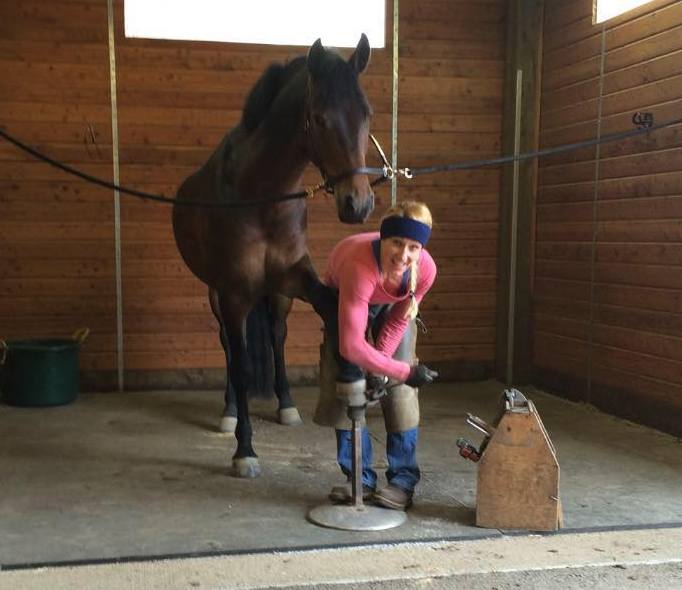 Shadow Mountain Horseshoeing is here to meet the needs of your horse and you.