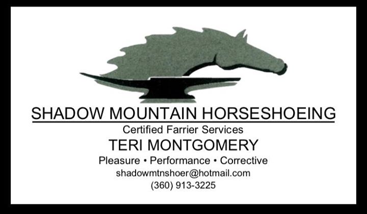 Shadow Mountain Horseshoeing offers quality work infused with a continued education mindset.