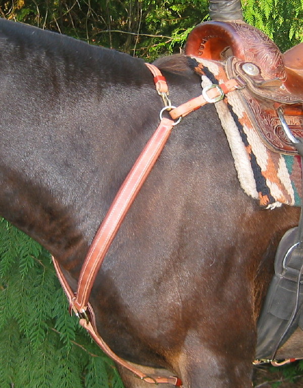 Our trail breast collar has become our most popular style for the great fit it provides on a variety of animals. It works especially well on mules because you can adjust the center ring low enough to clear the windpipe yet keep the side pieces from riding too low across the shoulder. It also works well on gaited animals for freeing up the shoulder.