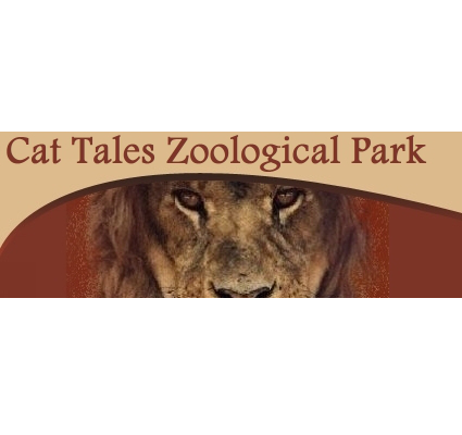 Cat Tales Zoological Park was founded with the purpose of rescuing and supporting endangered felines. Over the years the park and the mission has grown to help dozens of animals.