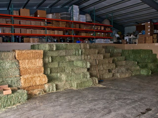 We have a large supply of Local 1st and 2nd cut hay, and delivery can be arranged. We carry Purina, Nutrena, and LMF feeds. We have feed for all your animals including: horses, cows, hogs, goats, sheep, deer, rabbit, guinea pigs,  llama and bird food.