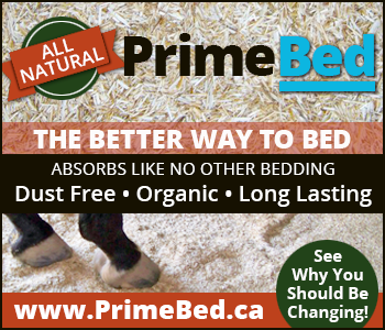 PrimeBed is very unique from other forms of bedding materials, in that liquids are absorbed from the bottom of the bedding only, unlike all other traditional beddings that get and remain wet from the top down, or are just poor absorbency overall. PrimeBed is different; it repels liquids upon surface contact, where they quickly migrate downward to the bottom of the bed. Once there, liquids settle in and immediately begin absorbing along the base of the bed.
