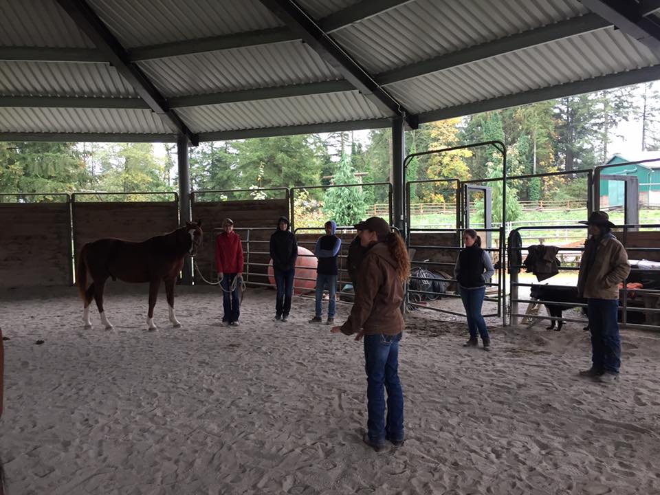 This weekend we learned the final adjustments of the hind end and all about the importance of teeth and the effect a dental imbalance can have on the overall performance of the horse. Then we went on a field trip to give the hard working horses of Timberline Ranch a therapy session.
