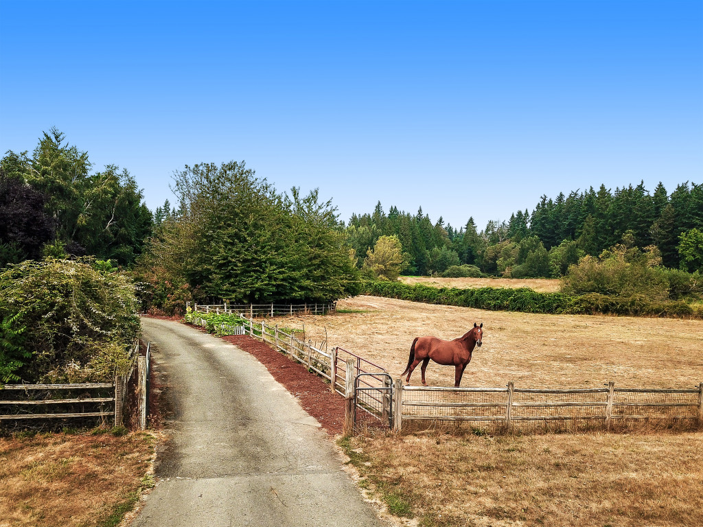 A beautiful private driveway leads off the a-cul-de-sac street. A large pasture and your horse to greet you on the right.