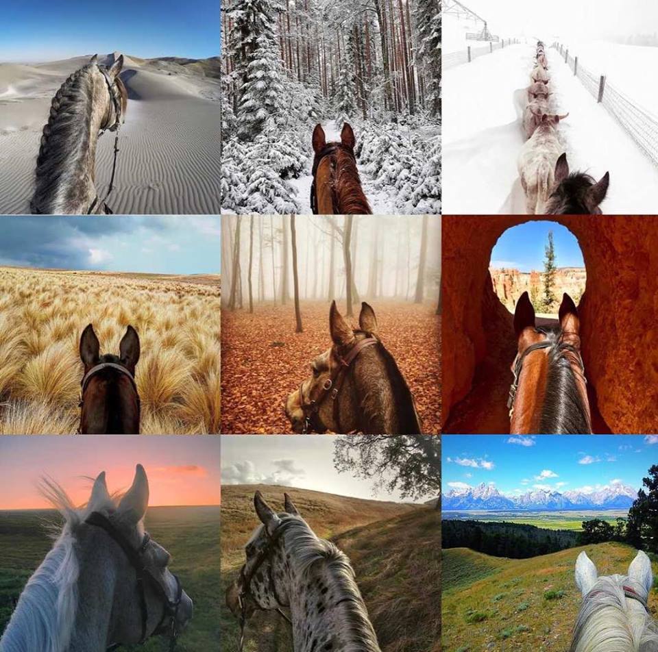 Are you one who snaps photos while riding? Share your photos with Life Between The Ears! Do you enjoy viewing photos from around the world? View the images that you will find on Life Between The Ears.
